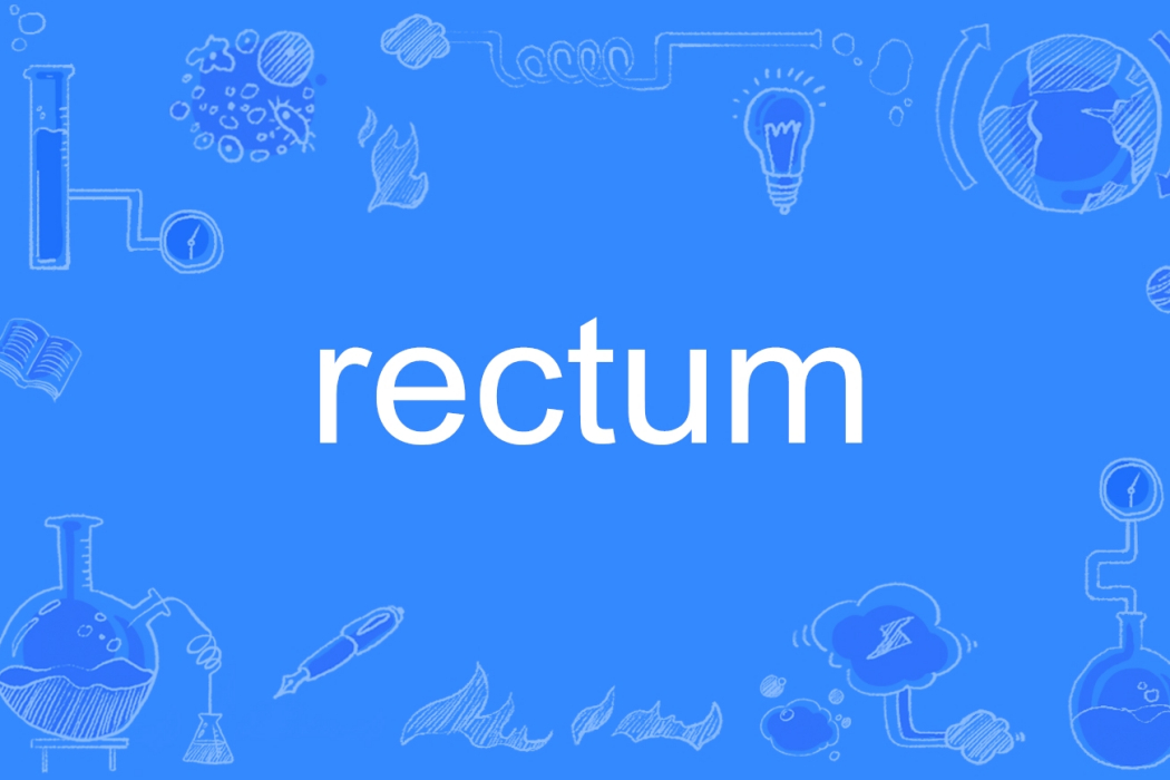 rectum