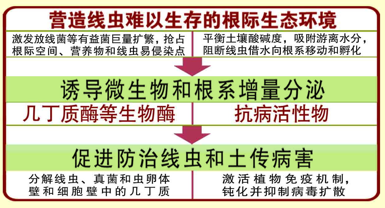 防治線蟲的作用機理。