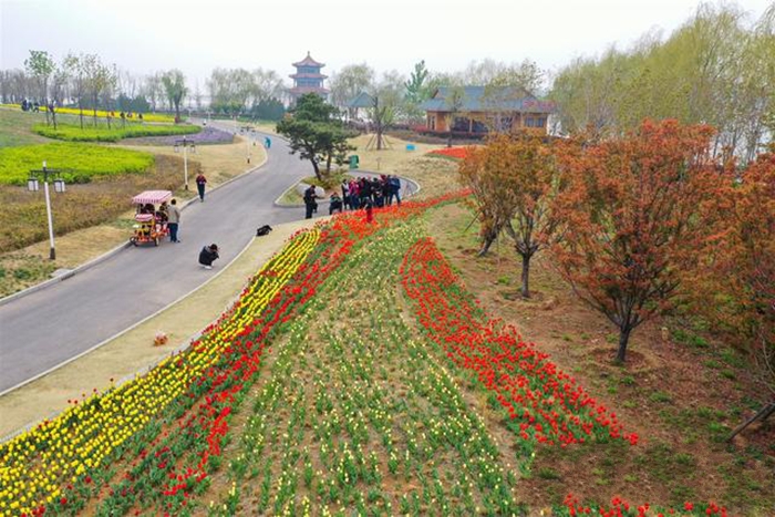 天頤湖花海景區