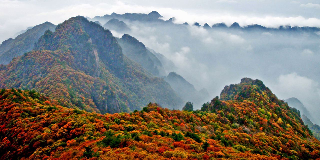 沁水縣(沁水)