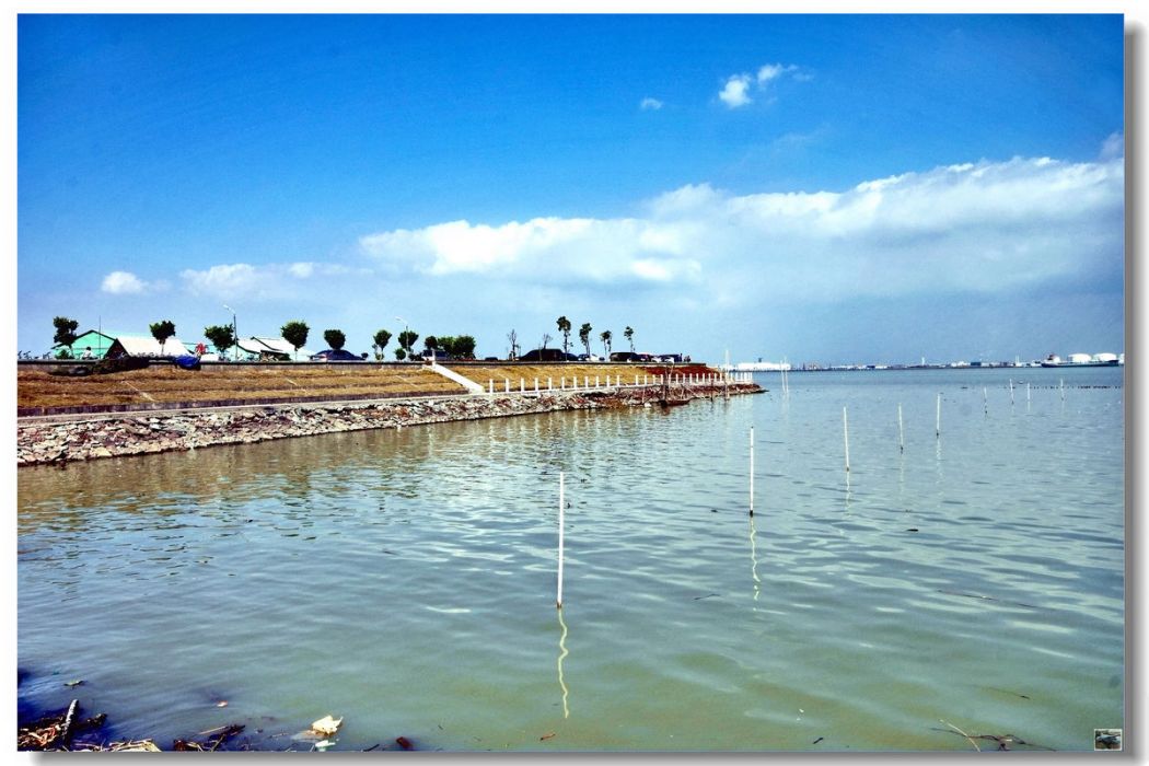 海鷗島(西藏自治區班公錯湖島嶼)