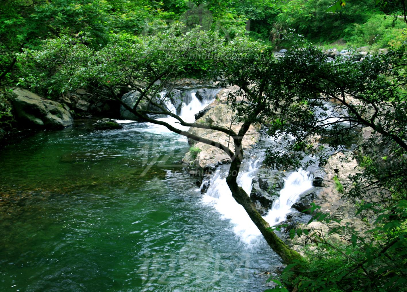 保護區風景