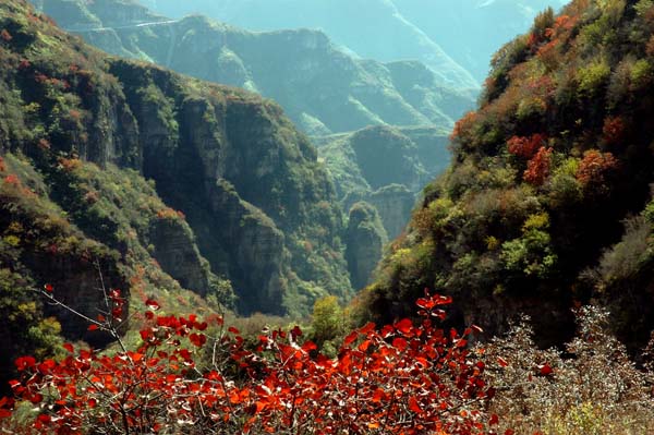 龍居山