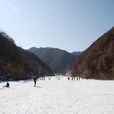 三門峽甘山森林滑雪場