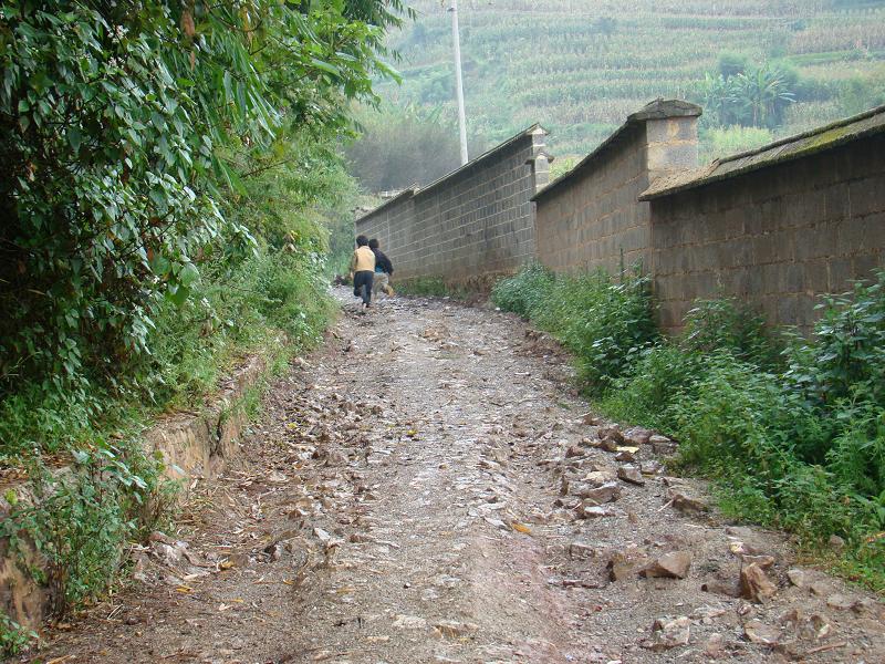 寨子腳自然村村內道路