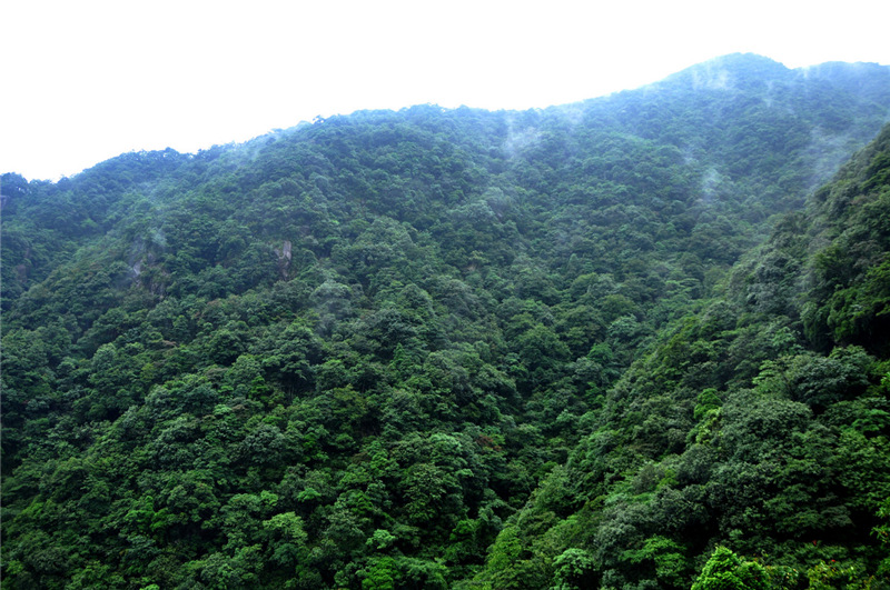 湖南九嶷山國家級自然保護區