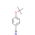 4-叔丁氧基苯甲腈