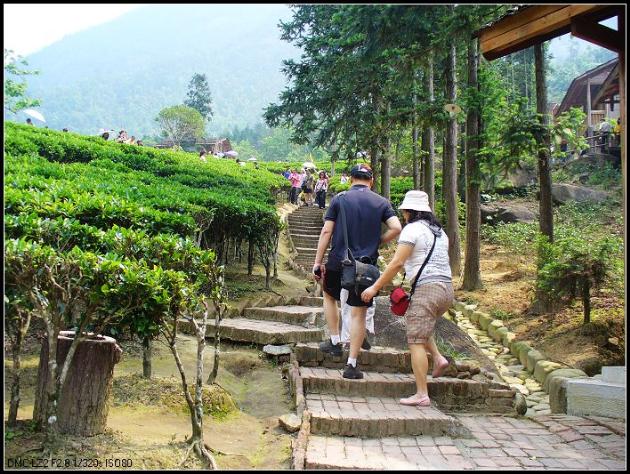 賀州姑婆山旅行社