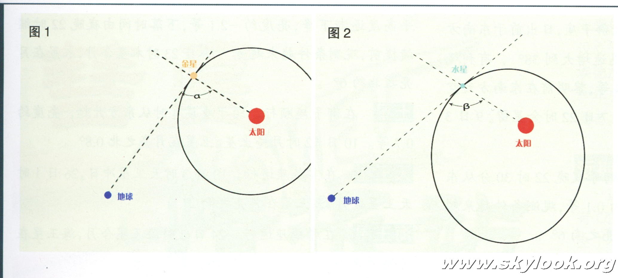 東大距