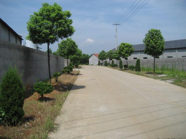 西後村(浙江嵊州市三界鎮下轄村)