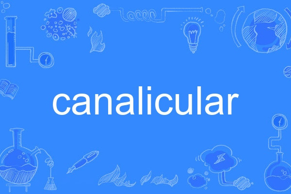 canalicular