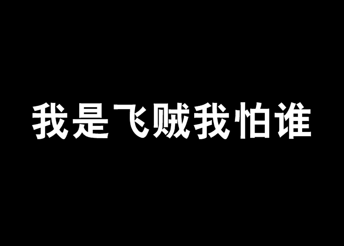 我是飛賊我怕誰