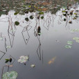 玉林市人民公園