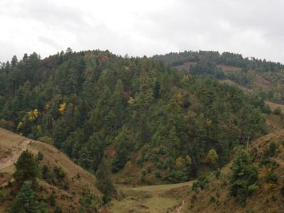 雞子場村