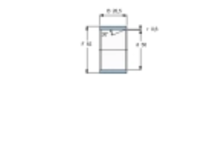 SKF LR50x55x20.5軸承