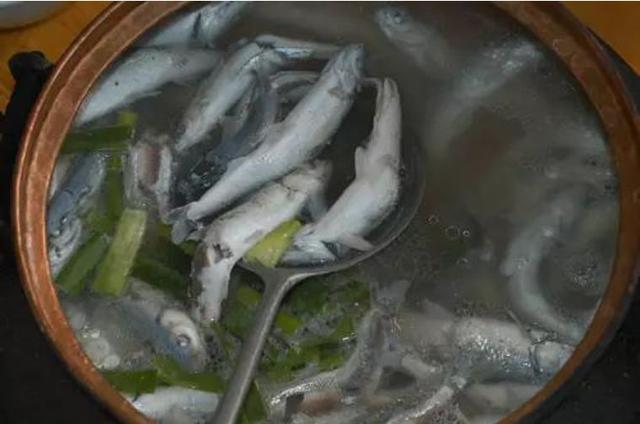 明星蘸水食洞魚