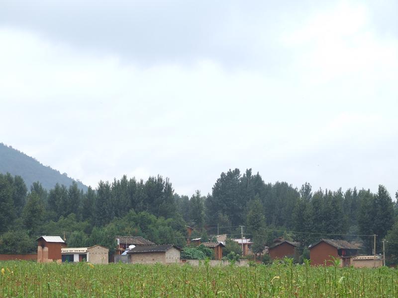 三合村(雲南省尋甸縣雞街鄉下轄村)