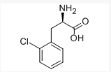 D-2-氯苯丙氨酸