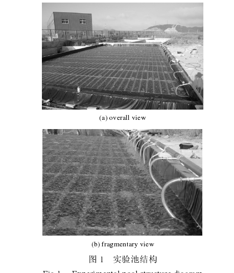 圖1 實驗池結構