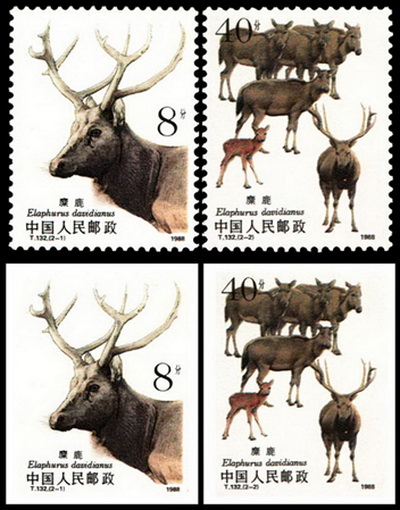 麋鹿(1988年12月20日中國發行的郵票)
