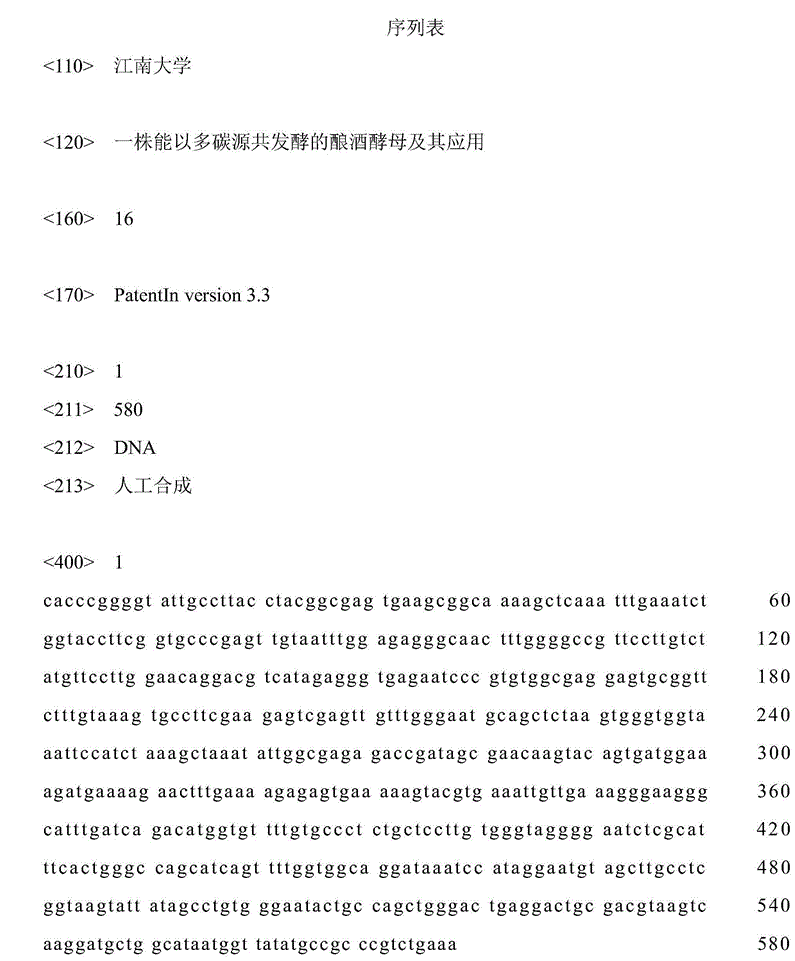 一株能以多碳源共發酵的釀酒酵母及其套用