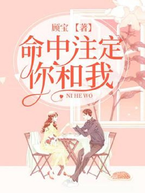 命中注定你和我(顧寶所著小說)