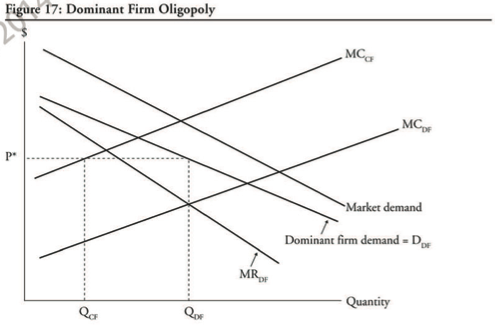 Dominant firm model