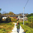 甲山村(雲南省昌寧縣田園鎮下轄村)