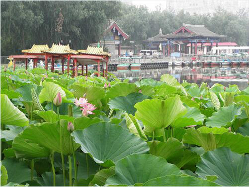 登觀景台抒懷