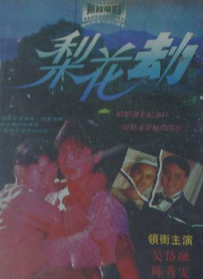 梨花劫(1992年李力持執導的電視電影)