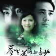 夢裡花落知多少(2007年賈一平主演電視劇)