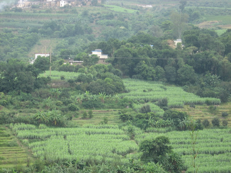 小南馬村(雲南玉溪元江縣東峨鎮下轄村)