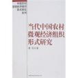當代中國農村微觀經濟組織形式研究
