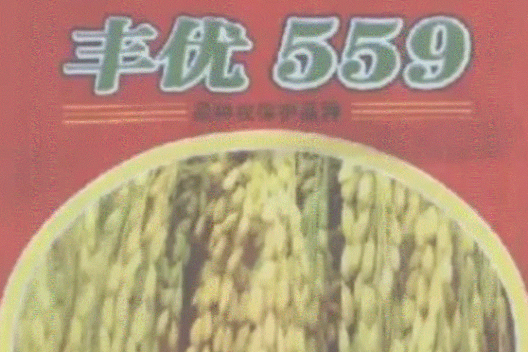 豐優559