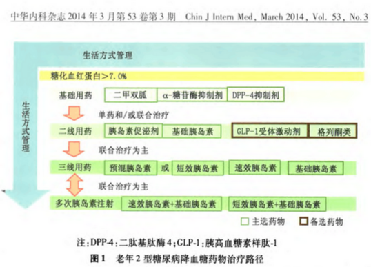 圖1 老年2型糖尿病降血糖藥物治療途徑