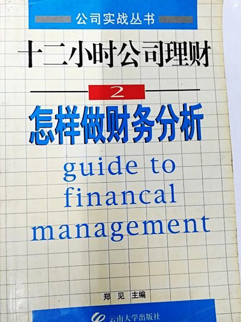 十二小時公司理財怎樣做財務分析(2)//公司實戰叢書