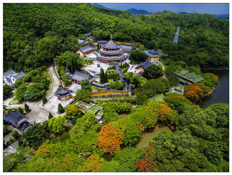 龍崗“新十景”——園山探幽