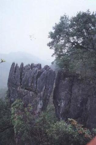 壺瓶山 峰林地貌