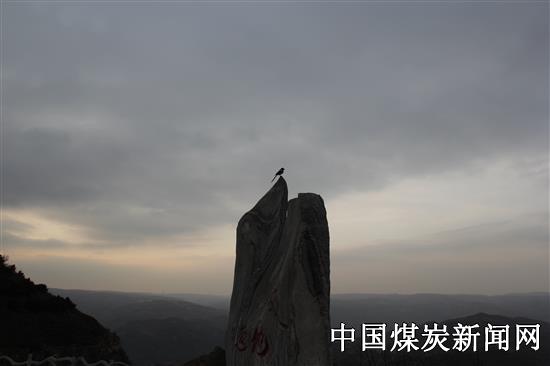 《夜來風雨聲，花落知多少》