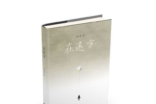 在遠方(2015年江蘇文藝出版社出版的圖書)