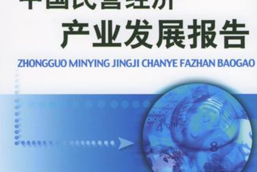 中國民營經濟產業發展報告2004