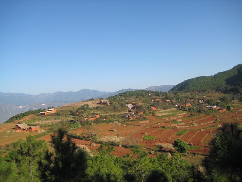 麥坪村(雲南省永勝縣大安鄉下轄村)