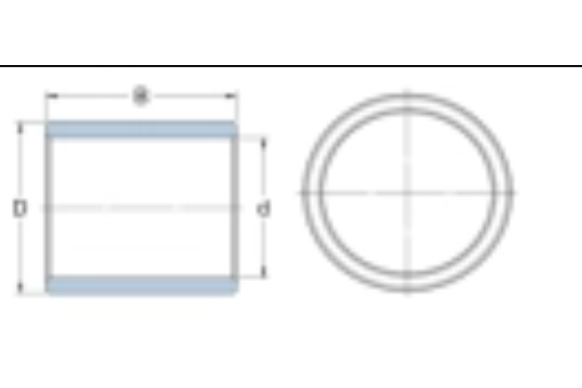 SKF PG19019560A軸承