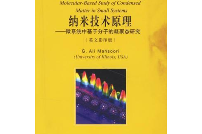 納米技術原理：微系統中基於分子的凝聚態研究（英文影印版）