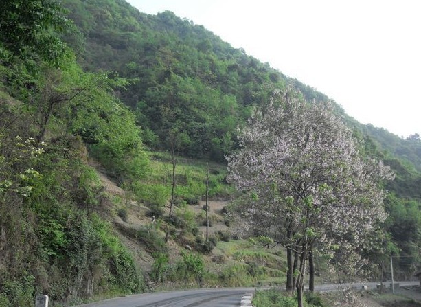 跨五嶺古道