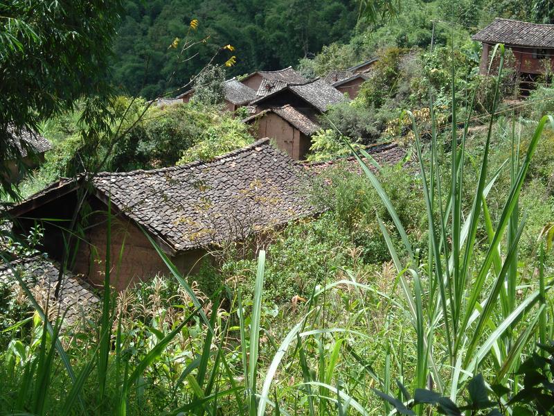 淌上水自然村