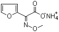 分子結構圖