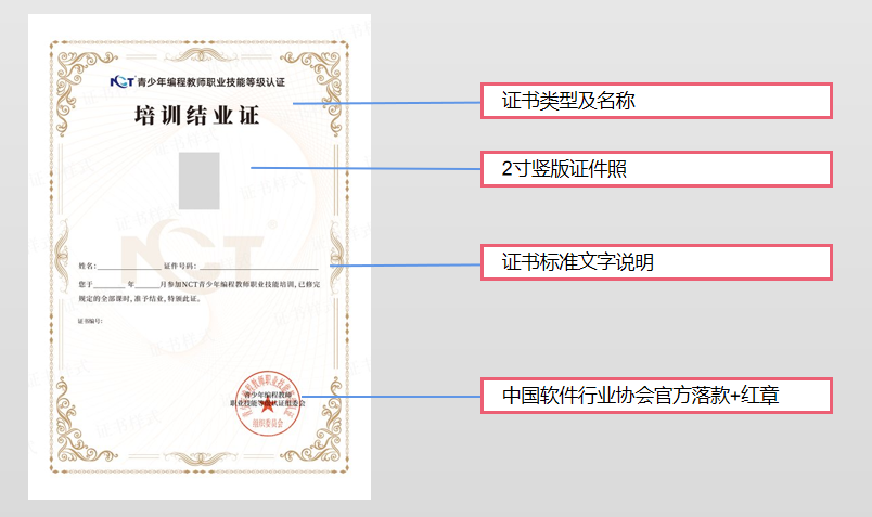 NCT青少年編程能力等級測試