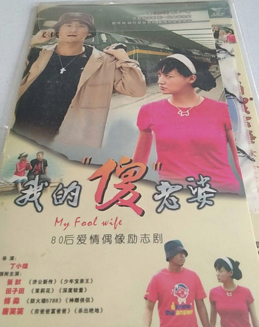 我的“傻”老婆(8DVD)