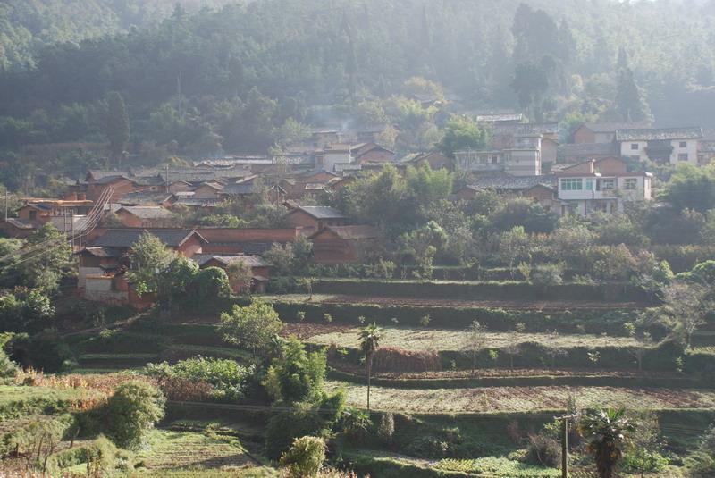 白石岩村(雲南省曲靖市羅平縣大水井鄉白石岩村)